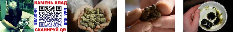 хочу наркоту  Жуковский  Гашиш Cannabis 