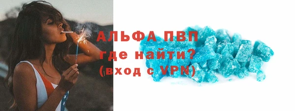 спайс Инта