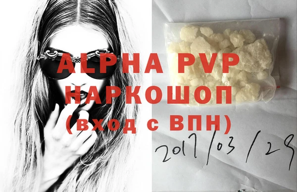 спайс Инта