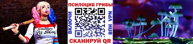 Псилоцибиновые грибы ЛСД  blacksprut маркетплейс  Жуковский 