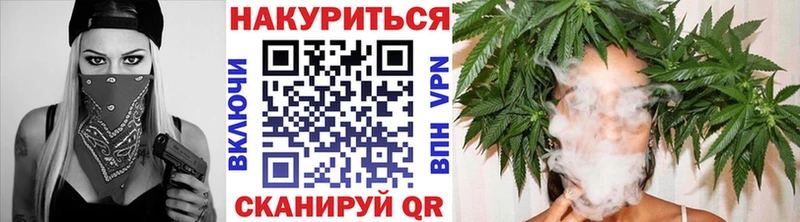 Бошки марихуана план  наркотики  Жуковский 